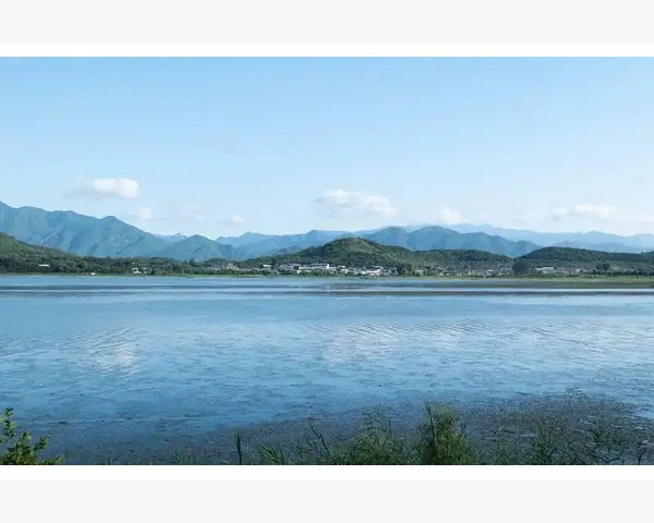 雌激素低如何调理