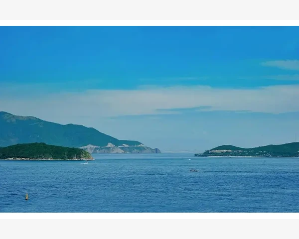 拔罐伤脾胃？中医科普带你揭秘